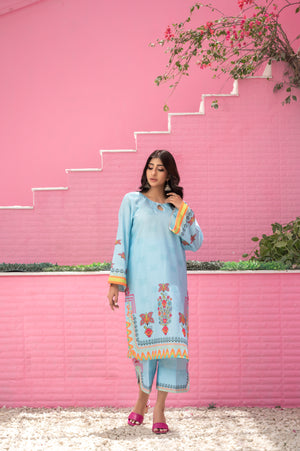 Elegant sky blue kurta and trousers with butterfly motifs and intricate detailing